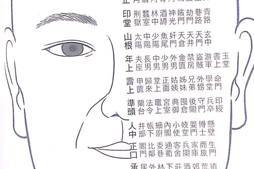 算命师说四眼皮的人命运如何，四人命运纠葛，命运悬于一线，这极致的纠葛究竟会怎样？