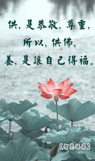 起名改名：一场灵魂的漂流