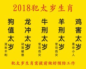 1.1 太岁的名字到底有多少？