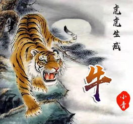 3. 龙宝宝最适合的50个靳姓用字推荐