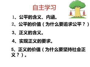 平权的深层含义：社会价值与原则的探索