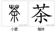 汉字的探索之旅