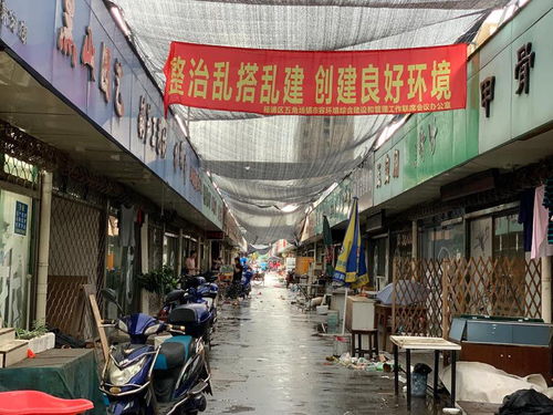政府与开发商的双沉重视角