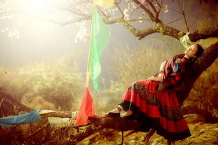 古井里的风水煞气