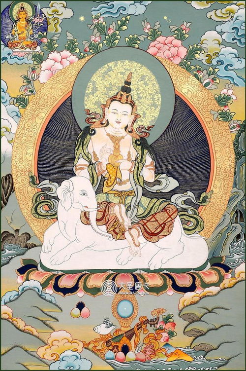 十方普贤菩萨和生肖有何关联？其代表生肖的含义是什么？