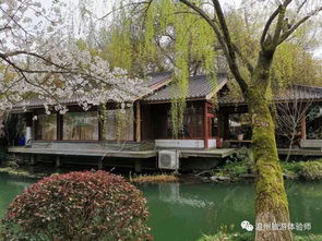 1. 苏堤春晓：不仅仅是樱花， 还有腿酸