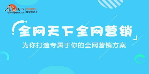 全网整合营销：提升品牌作用于力的利器