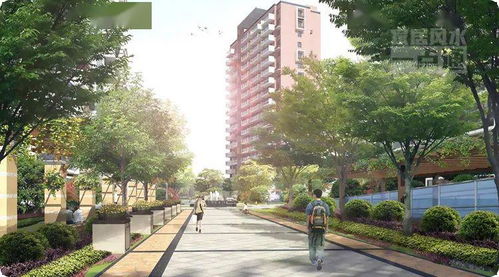 景观遮挡阳光：不见天日闷闷热