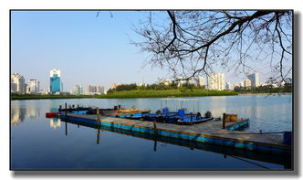 湖畔漫步：一场心灵的邂逅