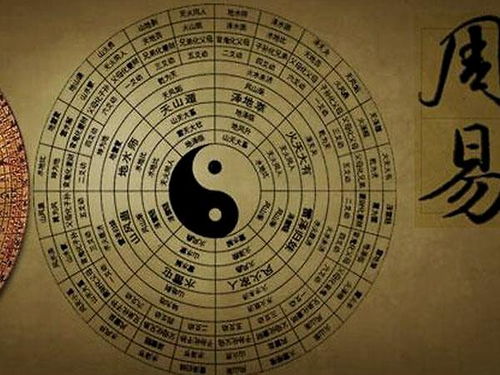 哇塞！2026年你家娃读书运爆棚还是扑街？超准八字玄学大揭秘