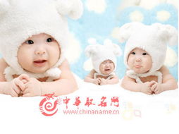 2026款兔宝宝霸气名字大全，如何起个霸气名字？