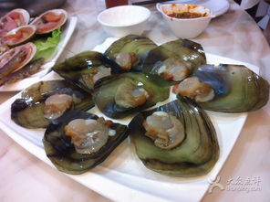 #斗鱼#——不只是斗鸡