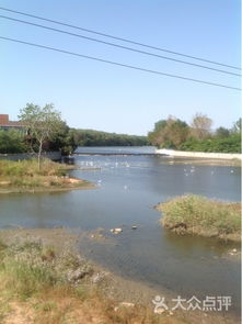 1. 龙湾湿地公园 (约1较小时车程)：