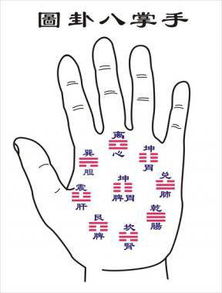 手相玄学大揭秘！信不信由你！