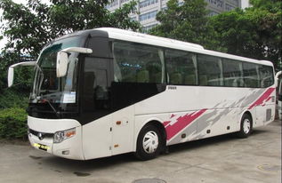 震惊！大巴租赁竟然有这么多不为人知的秘密