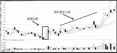 股票五行在八字属什么？推荐哪些股票分析技巧入门书籍？