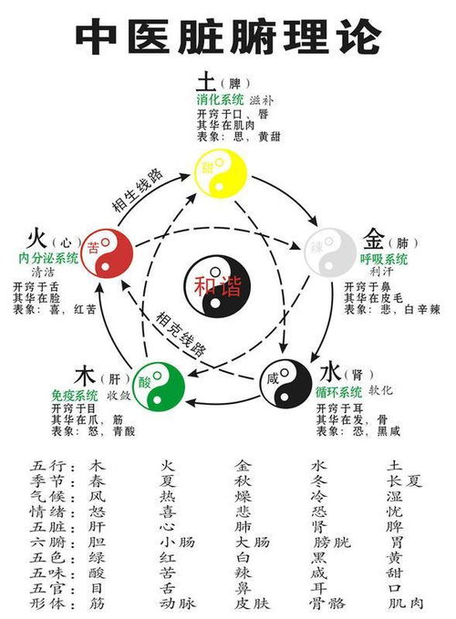 救命！五行学说也太离谱了吧