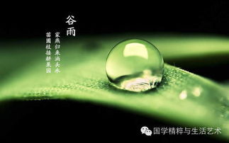 灵感来源五花八门