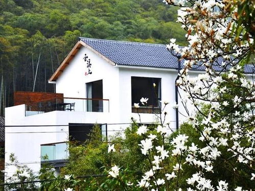 莫干山天池周边民宿推荐及交通运输指南