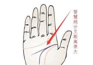 一入眼帘就让人激动的手相：