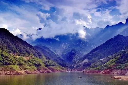 橘子炸弹与茶叶仙气