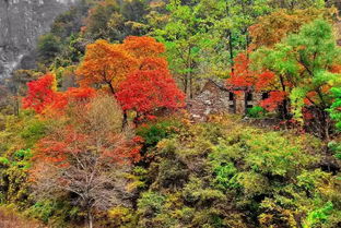2、 老君山（栾川）——道教圣地+云雾仙境混搭套餐