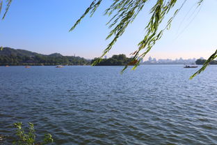 序章：一场半推半就的旅行