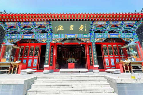 客天下就是个大型屠宰场