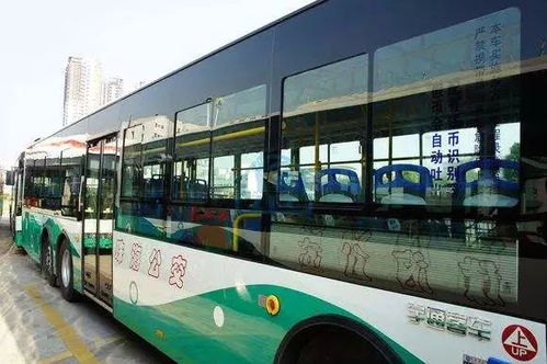 公交路线的逆袭：省钱又高效