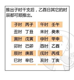 五行？我看是五毒还差不多