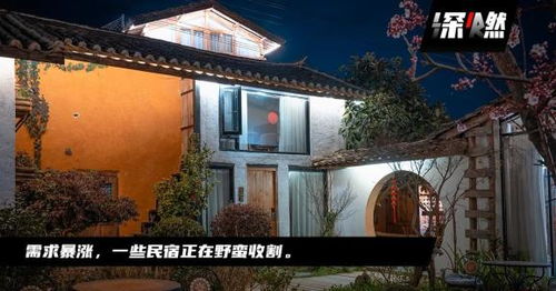 民宿老板的午夜惊魂