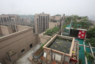 楼顶建凉亭合法吗,高楼顶建凉亭风水好不好