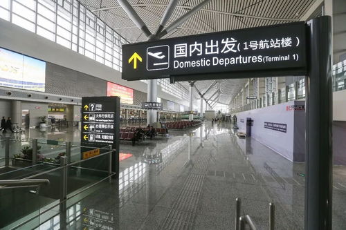 Terminal 1 vs Terminal 3：一场猜谜游戏