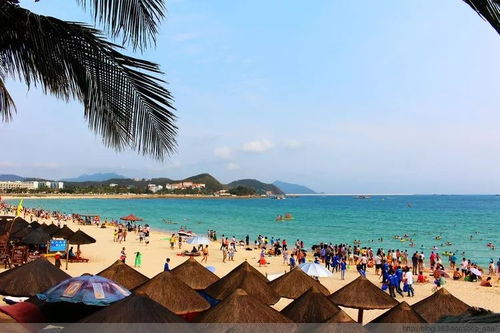 2026年国庆海南游：挤成肉饼还是爽翻天？