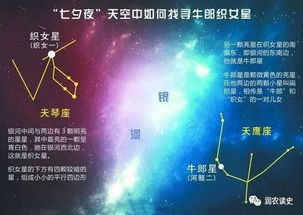 星座疗伤偏方大全