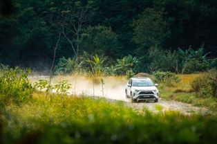 省油秘籍？都是扯淡！