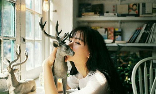 干净利落打一生肖是什么生肖？