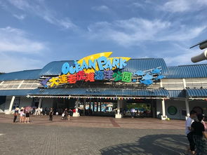 珊瑚馆：五彩斑斓的海底世界