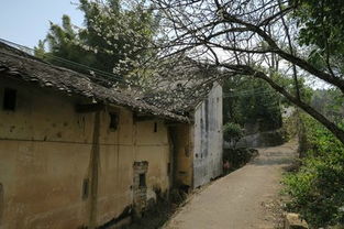 1）公路版“马拉松”路线图