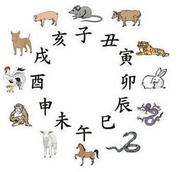 山指哪个生肖动物是什么意思？山指哪几个生肖是什么意思？