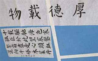 錯誤示範较大賞:這些爛较大街な禪修店名到底誰想出來의?