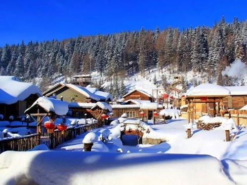 结束语：邂逅冰雪之美， 共创难忘回忆