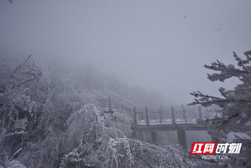 浮戏山景区， 入冬首场降雪