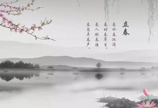 鼠年立春：偷天换日还是偷吃春卷？