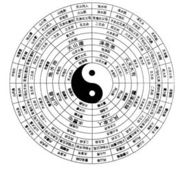 什么是世应？