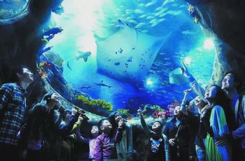第七站：回到陆地——天津极地海洋馆（顺便找点吃喝）