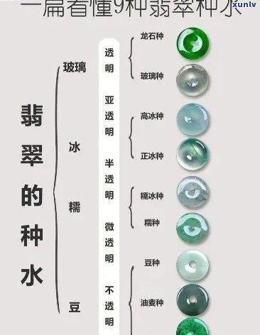 五行属性