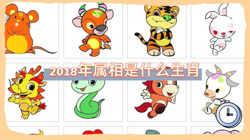 2018年出生的人属什么生肖？