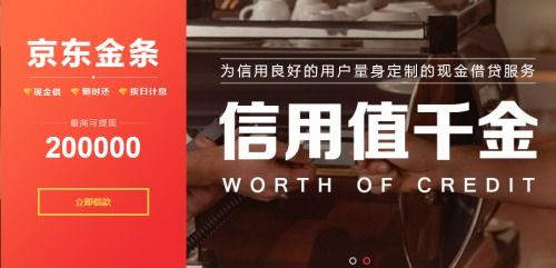 第一章：揭秘“JD金条”——金融与旅行的双翼