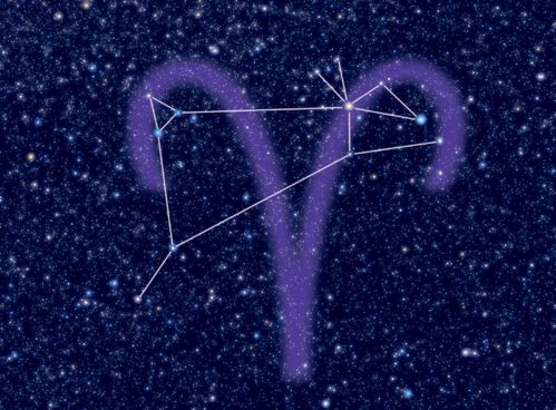 爱情路上的九九八十一难